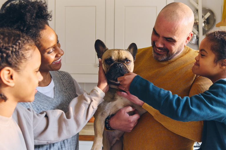 Practical & Emotional Support: